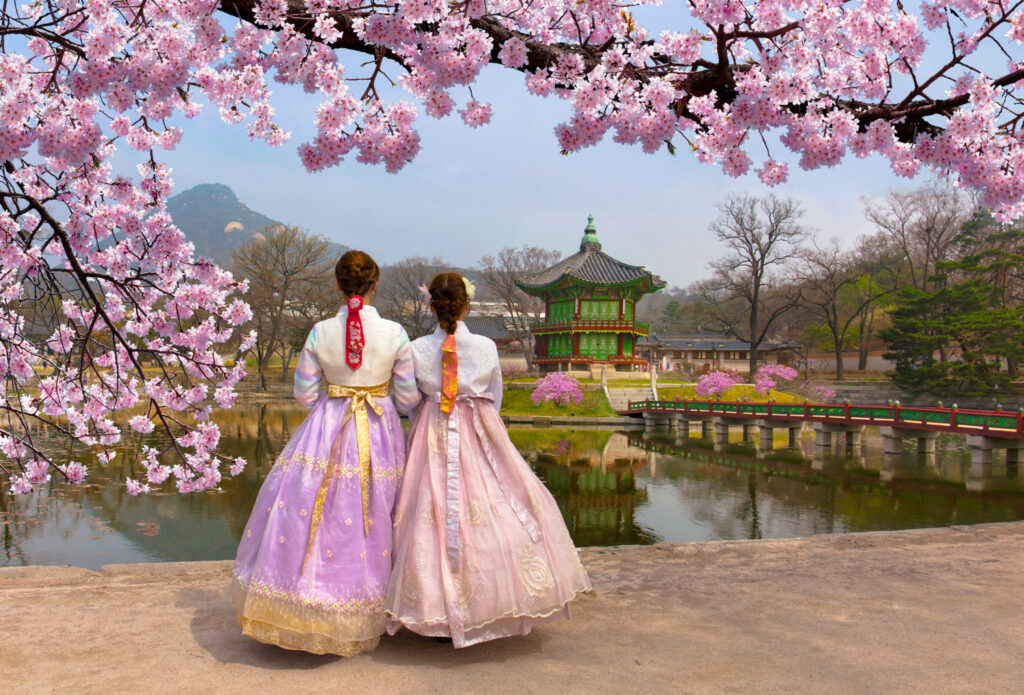 Cherry blossoms in full bloom at Gyeongbokgung Palace in Seoul, South Korea