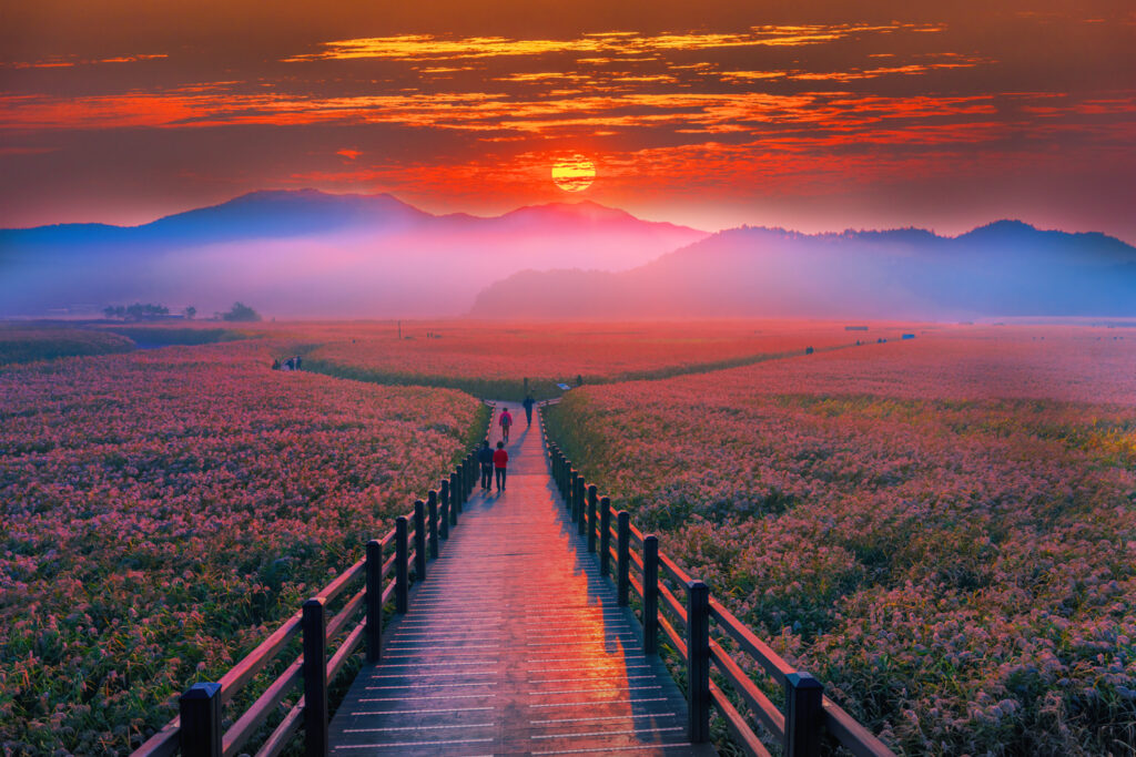 Beautiful Sunrise at Suncheon, Baysouth, South Korea