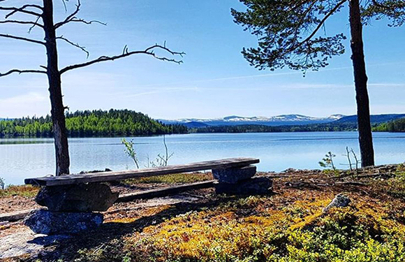 A wooden bench situated between two trees with a view of a calm lake and hills in the distance under a clear blue sky.