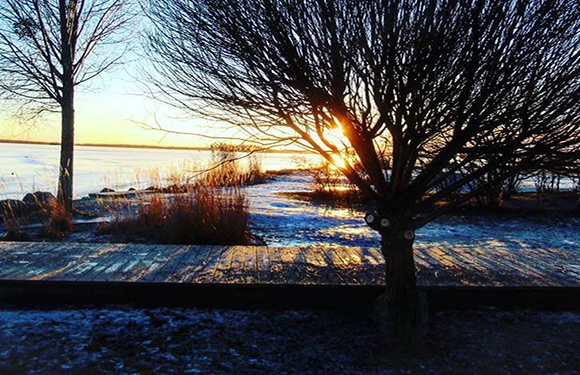 A sunset scene with tree silhouettes, a pier over water, and a warm sun glow.