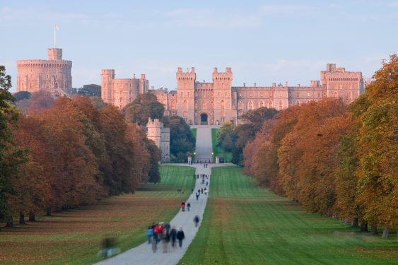 A large castle with towers and battlements sits at the end of a tree-lined path, surrounded by lush greenery under an overcast sky.