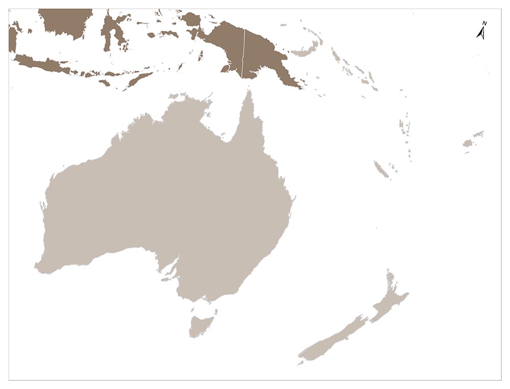 A simplified map showing the continent of Australia and parts of the surrounding landmasses and islands in a monochrome color scheme.