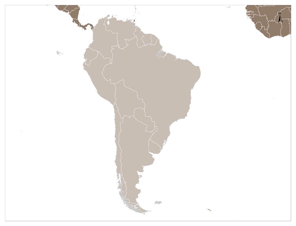 A map of South America with country borders marked but no labels or other features.