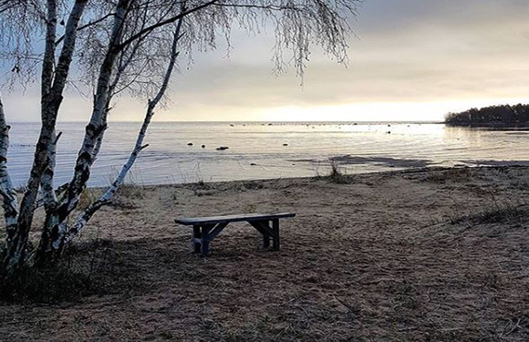 A peaceful lakeside view at dawn/dusk featuring a bench, a birch tree, and a calm, expansive body of water under a cloudy sky.