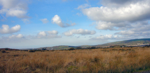 A panoramic view of a grassy field with scattered shrubs under a partly cloudy sky, with hills in the distance.