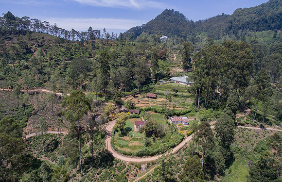 Aerial view of a lush green rural landscape with winding roads, small buildings, and dense tree cover.