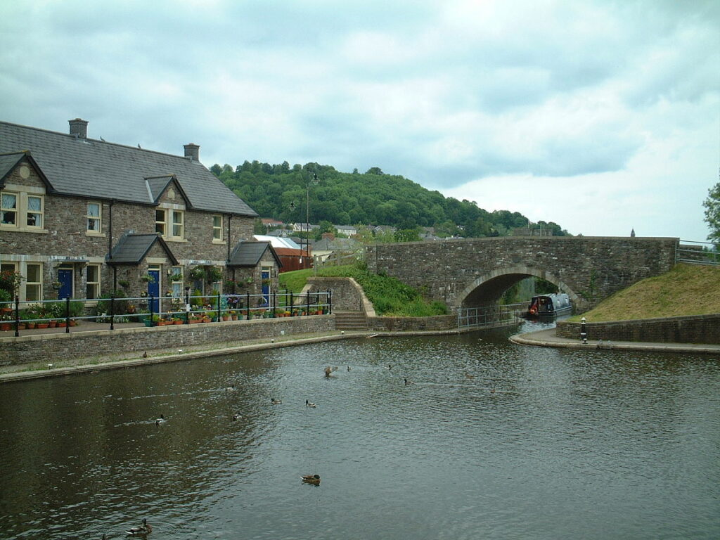 A scenic view of a calm river with ducks, a stone bridge in the background, and houses along the riverbank under a cloudy sky.