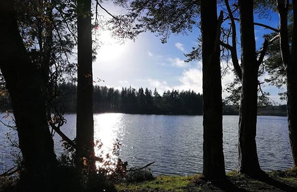 A serene view of a lake with sunlight reflecting off the water surface, framed by silhouettes of trees in the foreground.