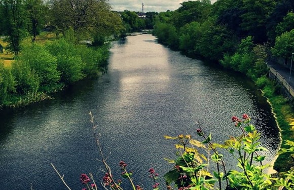 A river surrounded by lush greenery with trees and plants on both sides, under a partly cloudy sky.