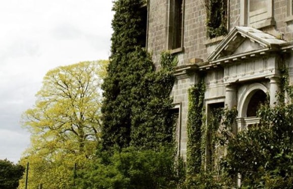 An image of a section of a classic building with an arched entrance, partially covered in ivy, next to a tree with green foliage.