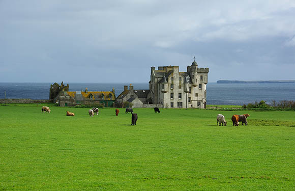 A historic stone castle with towers and annexes sits by the sea on a green lawn, with cows grazing under a partly cloudy sky.