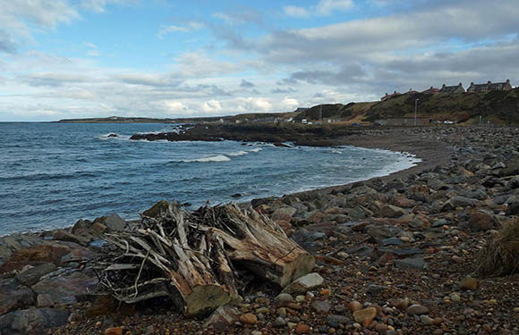 A coastal scene with a rocky beach, driftwood, distant houses, and a vast body of water under a partly cloudy sky.