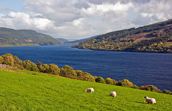 A picturesque scene of a lake surrounded by forested hills, under a cloudy sky, with grazing sheep in the foreground.