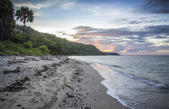 A picturesque beach at twilight with soft waves, a tree-covered hill on the right, and a vibrant sky above.