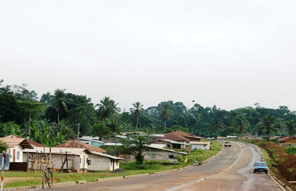 A rural road with a few vehicles leading into a small village surrounded by lush greenery and trees under a cloudy sky.