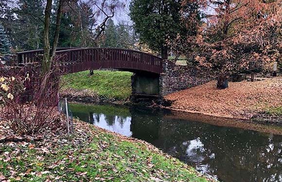 A wooden bridge over a calm stream surrounded by trees with autumn foliage.