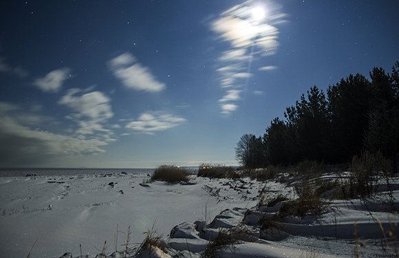 A nighttime landscape with a snowy field, a line of trees on the left, and a partly cloudy sky illuminated by a bright moon.