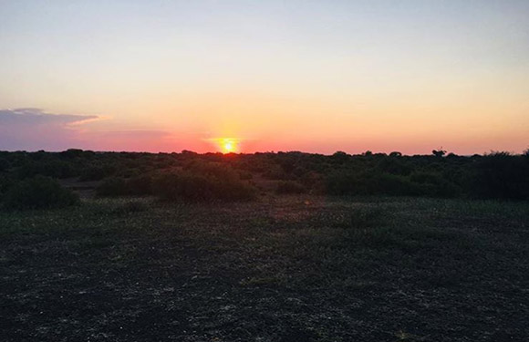 A sunset with warm hues of orange and pink over a low-lying field with sparse vegetation.