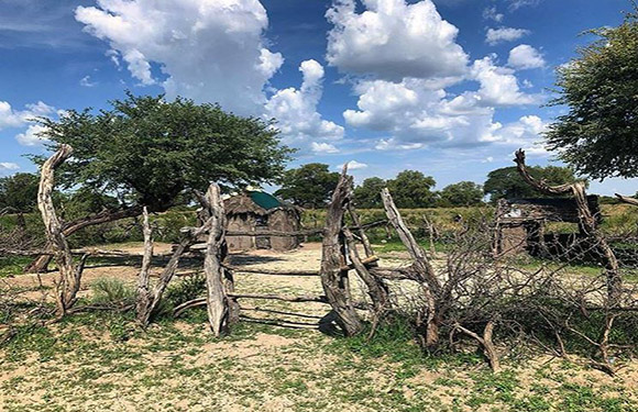 A rustic gate of uneven branches with a thatched-roof hut behind it, encircled by trees under a cloudy blue sky.