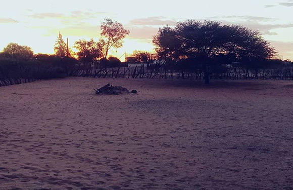 An image of a sunset with silhouettes of trees and shrubs against an orange sky, with open ground in the foreground.