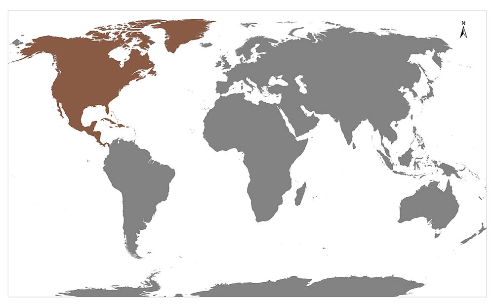 A world map with countries displayed in two different shades, indicating some form of data categorization or distinction between the countries.