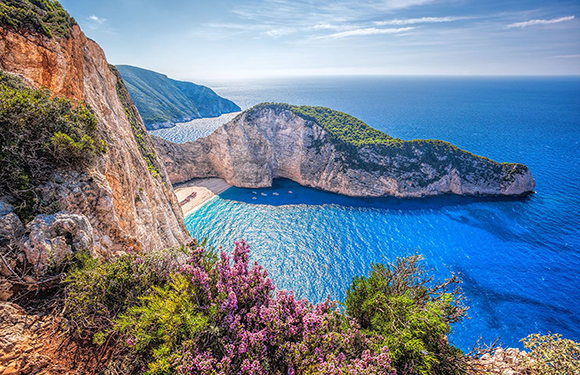 A scenic view of a coastal landscape with a cliff overlooking a clear blue sea, a beach visible in the cove, and flowering shrubs in the foreground.