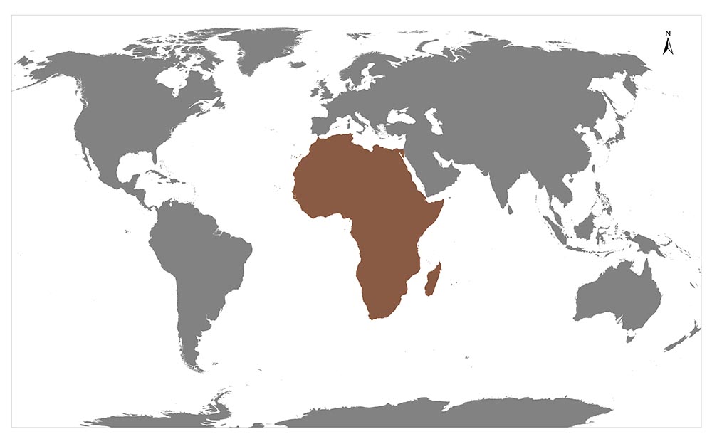 A world map highlighting the continent of Africa in a distinct color from the rest of the continents.