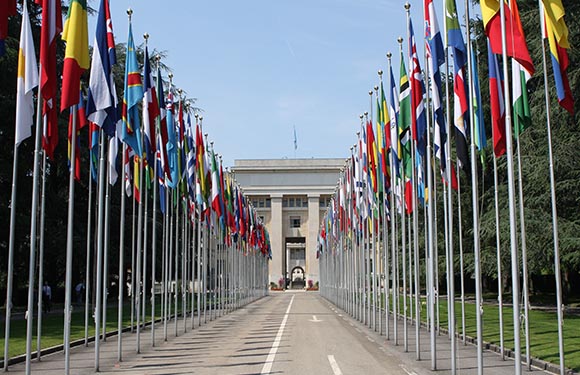 A row of flagpoles with various national flags on either side of a paved walkway leading towards a classical building with columns in the background.