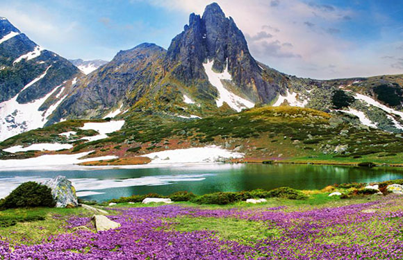 A picturesque scene featuring a mountain peak, lake, snow patches, and a field of purple flowers.