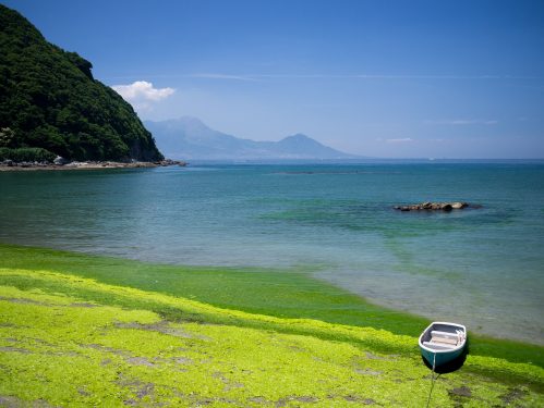 Top 10 Longest Coastline Countries 5 Top 10 Longest Coastline Countries 5