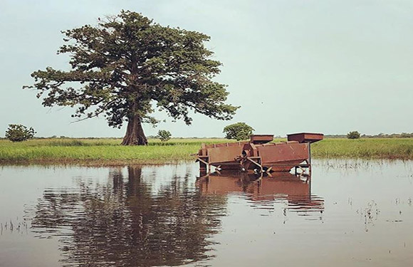 A flooded field with a large tree in the background and a submerged cart in the foreground.