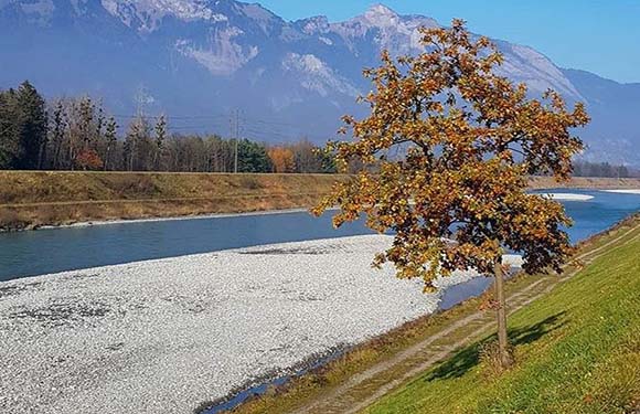 A tree with autumn leaves by a river with a gravel bank, with mountains in the background and a clear blue sky.