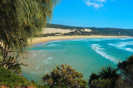 A sandy beach with large dunes overlooks a turquoise sea under a clear blue sky, with foreground vegetation.