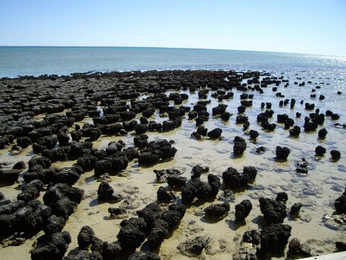 A beach with a rocky shoreline leading into a calm sea under a clear sky.