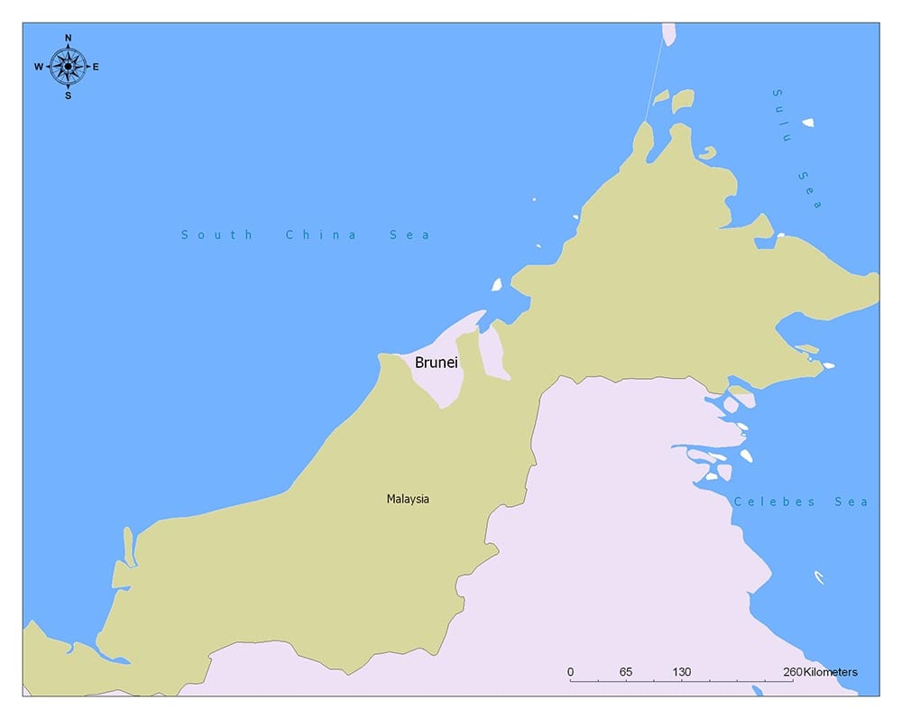 Brunei Flag Map and Meaning 2