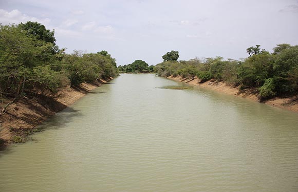 A river flanked by greenery under a clear sky.