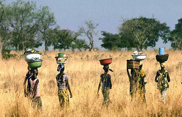 A group of people walking through a grassy field with items balanced on their heads.