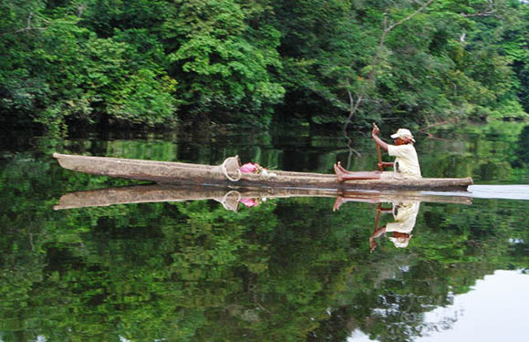 A person in a hat paddling a long, narrow wooden boat on a calm river with dense green foliage on the banks, reflecting clearly in the water.