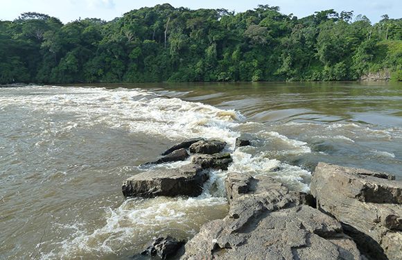 A river with a rocky section creating small rapids, surrounded by lush greenery on the banks under a partly cloudy sky.