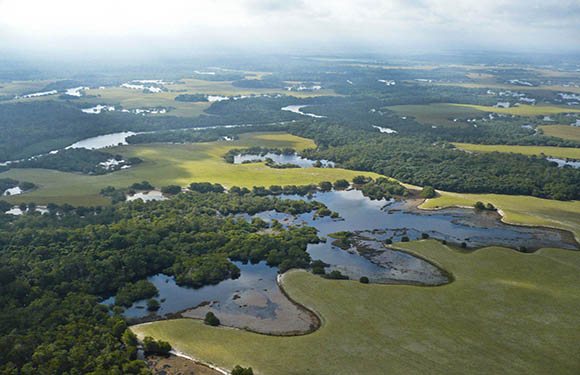 Aerial view of a wetland area with numerous water bodies, green vegetation, and meandering water channels.