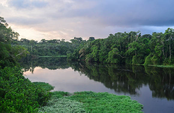 A tranquil river reflecting the sky and flanked by dense greenery under a cloudy twilight sky.