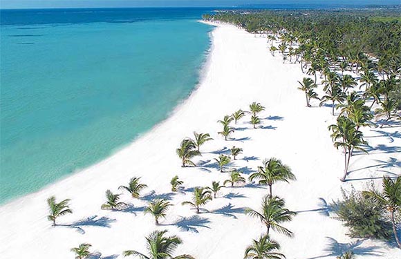 Aerial view of a tropical beach with white sand, lined with palm trees, and clear blue water.