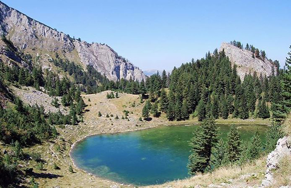 A small mountain lake surrounded by pine trees with rocky mountain slopes in the background under a clear blue sky.