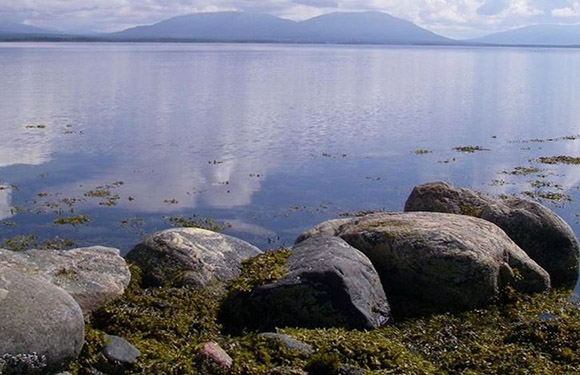 A serene lakeside view with calm water mirroring a hazy sky, distant mountain, and foreground rocks amidst greenery.