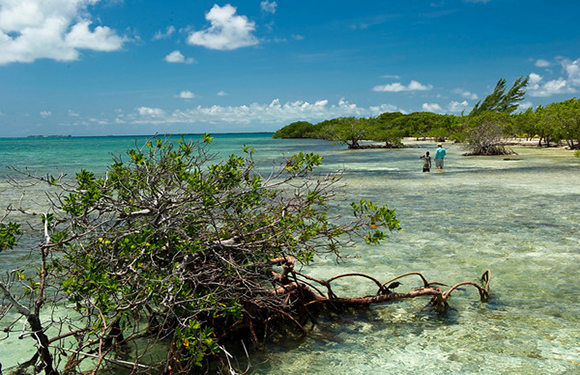 A person stands near the water's edge in a tropical beach scene with clear water, blue sky, and lush greenery.