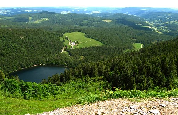 Aerial view of a landscape featuring a lake surrounded by dense forests with a small settlement nearby and rolling hills in the background.