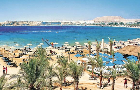 A coastal resort scene with beach umbrellas, palm trees, and people enjoying a sunny day by the blue sea.