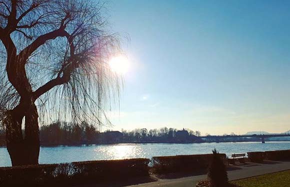 An image of a serene lakeside scene with the sun low in the sky, casting a reflection on the water, and a bare tree in the foreground.