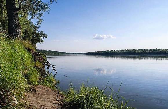 A peaceful riverside scene with blue skies, a calm river, a grassy bank, and a tree leaning towards the water.