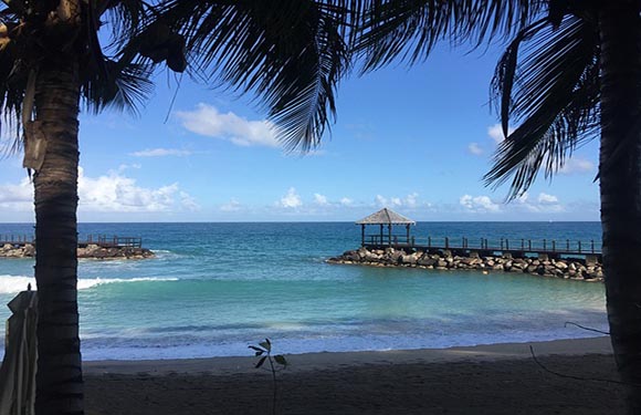 A serene tropical beach with palm trees, a calm blue sea, and a small pier with a thatched-roof structure.